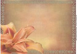 Day Lily Corner Background with Lace Edge