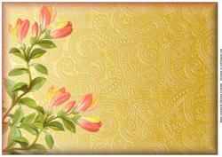 Shrubby Milkwort on Golden Paisley Background