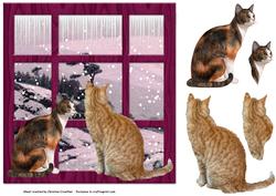 Cats at Winter Window