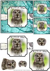 Great Owl Don't Get Old Get Wise - Torn Strip Square