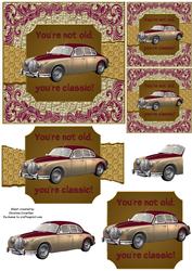 You're Not Old You're Classic! Jaguar - Torn Strip Square