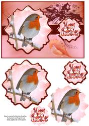 Merry Christmas Robin Ornate Mat Double Pyramid