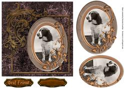 Best Friend Gun Dog Spaniel on Grunge Background