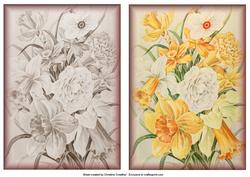 Two Vintage Daffodil and Narcissus Backgrounds