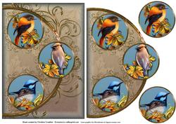 Pretty Birds Easy Cut Circular Swirl Frame Trio Card