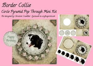 Border Collie Circle Pyramid Pop Through Mini Kit