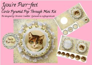 You're Purr-fect Circle Pyramid Pop Through Mini Kit