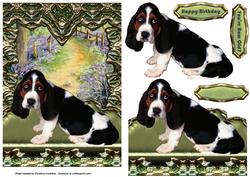On My Window Seat - You're How Old? Basset Hound