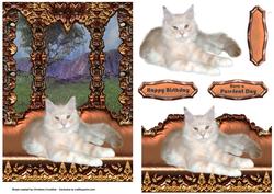 On My Window Seat - Pretty Cat