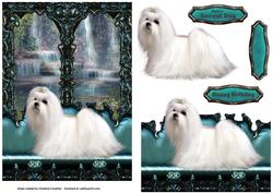 On My Window Seat - White Maltese