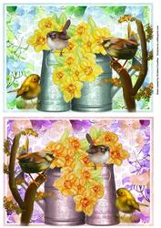 Daffodils and Birds - Two Quick Card Fronts
