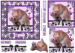 Secret Cat Pyramage for Purr-fect Birthday or Any Occasion
