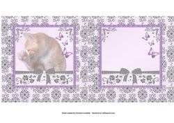 Secret Cat Pyramage for Purr-fect Birthday Insert
