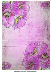Anemones on Pink Vintage Background