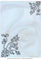 Faded Rose with Black Tulle Lace Corners - Blue