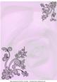 Faded Rose with Black Tulle Lace Corners - Pink