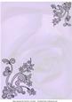Faded Rose with Black Tulle Lace Corners - Lilac