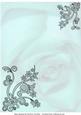 Faded Rose with Black Tulle Lace Corners - Green