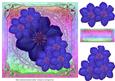 Royal Blue Clematis Delight for Any Occasion