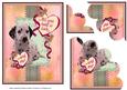 All You Need is Love and Me! Dalmation
