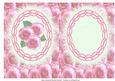 Especially for You Pink Roses Insert