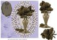 Vase of Sepia Roses Any Occasion Card