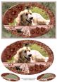 Golden Retriever in the Sun for Birthday/any Occasion