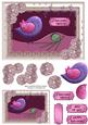 Birthday Tweets (pink) with Gift Tag