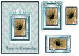 Deepest Sympathy Framed Peach Flower in Lace