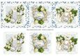 Baby Boy Clusters Triptych Large Dl Card