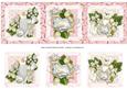 Baby Girl Clusters Triptych Large Dl Card