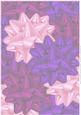 Purple & Pink Gift Wrap Bows Vellum Background
