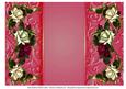 Sheer Elegance Roses Background