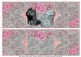 Floral Shoes with Roses - Large Dl Quick Card Front & Insert