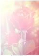 Fresh Roses Vellum Background