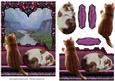 On My Window Seat - Two Ginger Cats