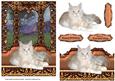 On My Window Seat - Pretty Cat