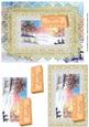 Lacy Winter Easy Step by Step