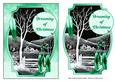 Dreaming of Christmas - Monochrome Scene -dreamcatcher 2for1