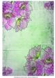 Anemones on Green Vintage Background