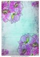 Anemones on Aqua Vintage Background
