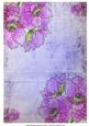 Anemones on Purple Vintage Background