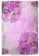 Anemones on Pink Vintage Background