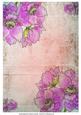 Anemones on Peach Vintage Background