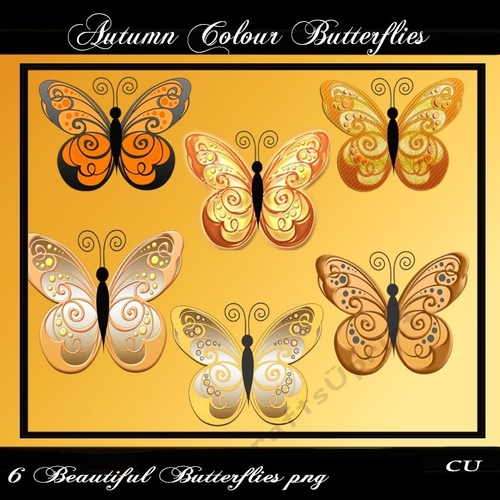 Autumn Colour Butterflies
