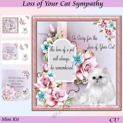 Loss of Your Cat Sympathy Mini Kit