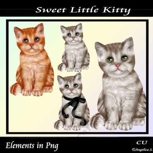 Sweet Little Kitty Png