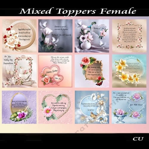 Mixed Toppers Female Bumper Kit