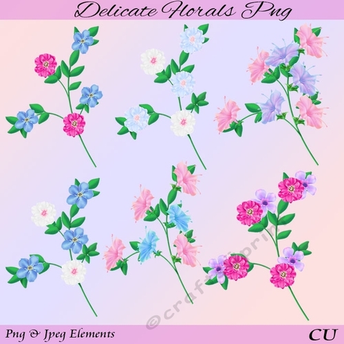 Delicate Florals Png and Jpeg