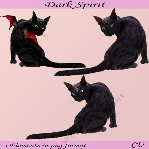 Dark Spirit Png